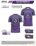 Load image into Gallery viewer, East Bay Spring 2024 Baseball Jerseys
